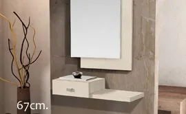 recibidor moderno con un cajón y un estante